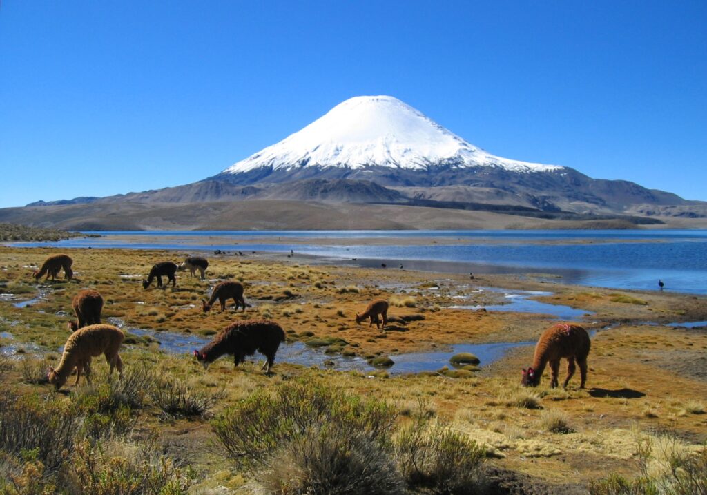 Región de Arica y Parinacota
