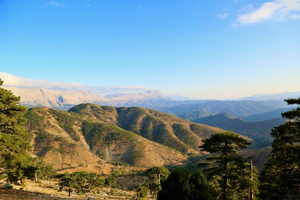 Región del Ñuble